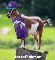 Utah Jazz Milk GIF