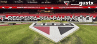 Sao Paulo Verdao GIF