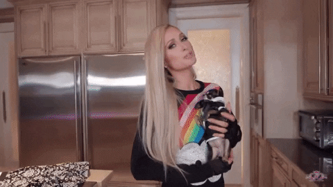 Paris Hilton Dog GIF by Comments By Celebs