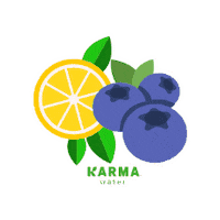 Lemon Lemonade Sticker by Karma Water