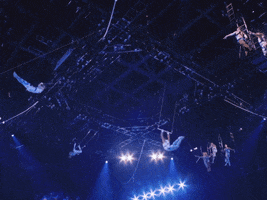 Barnum And Bailey Flip GIF by Ringling Bros. and Barnum & Bailey
