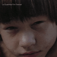 Baby Wow GIF by La Guarimba Film Festival