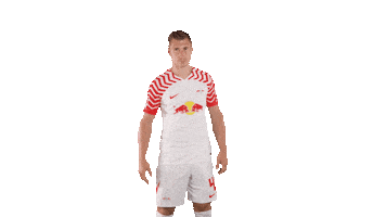Football Yes Sticker by RB Leipzig