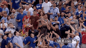 kc GIF by MLB