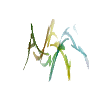 Paia Sticker by Agência de Iniciativas Cidadãs