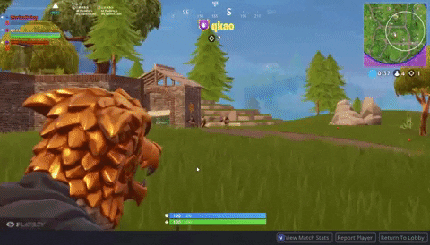 victoryroyale GIF by Plays