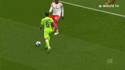 Football Sport GIF by VfL Wolfsburg
