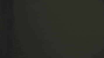 season 8 episode 6 GIF by Portlandia