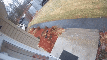 Icy Stairs Cause Comical Slip