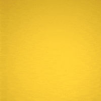 party mexico GIF by Bate