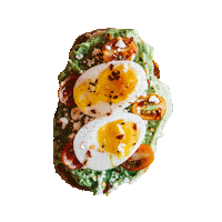 IndyCoffeeClub avocadotoast indycoffeeclub indycoffee indycc Sticker