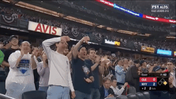 Yankees GIF by Jomboy Media