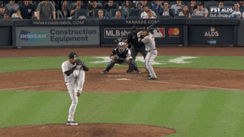 Yankees GIF by Jomboy Media