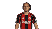 Eintracht Frankfurt Sticker by Bundesliga