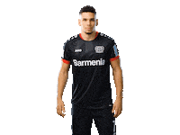 Bayer 04 Werkself Sticker by Bayer 04 Leverkusen