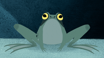 #puffin #rock #puffinrock #frog #froggy #ribbit GIF by Puffin Rock