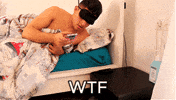 Wtf GIF