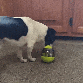 denbark giphyupload GIF