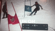 skiquebecalpin  GIF