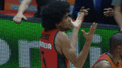 liga endesa what GIF by ACB