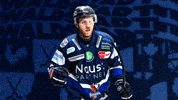 Goal Hockey GIF by Iserlohn Roosters