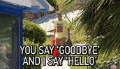 Bed And Breakfast Hello GIF by RTL