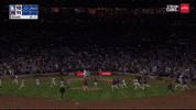 Celebrate Chicago Cubs GIF by MLB
