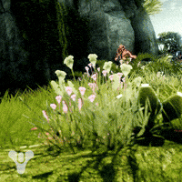 Destiny 2 Trials GIF by DestinyTheGame