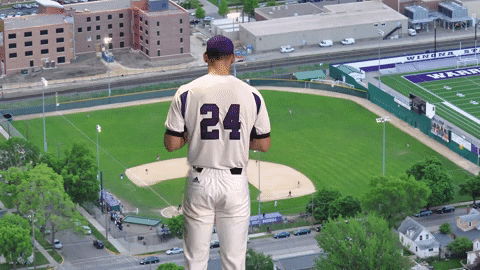 Baseball Warriors GIF by WinonaStateATH