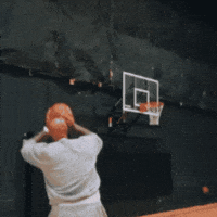 Carlos Boozer Basketball GIF by Bovada