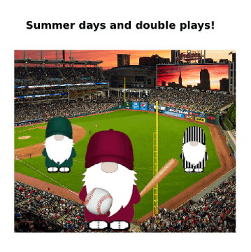 Sport Baseball GIF