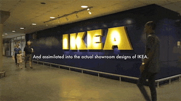 stray dogs dog GIF by HuffPost