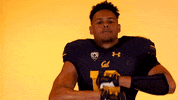 Golden Bears Football GIF by Cal Athletics