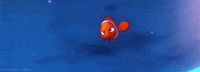 finding nemo GIF