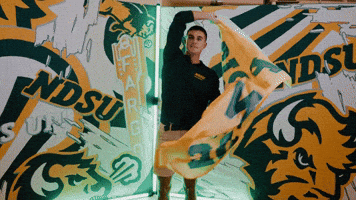 Volleyball Bison GIF by NDSU Athletics