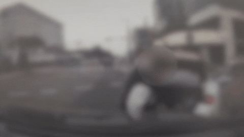 yj_jane giphyupload GIF