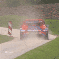 Racing Driving GIF by FIA World Rally Championship