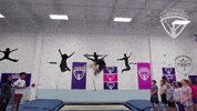 allroundchampiontv olympics trampoline arc athletes GIF