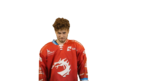 Ice Hockey Sticker Sticker by HC Oceláři Třinec