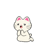 Sorry Forgive Me Sticker by Silly Kitties