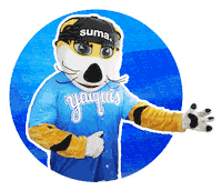 mexico baseball Sticker by Yaquis de Obregón