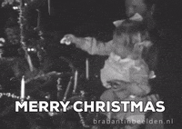 Merry Christmas GIF by Brabant in Beelden