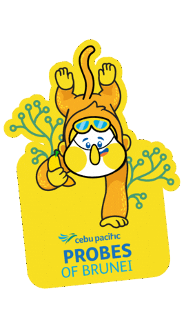 Travel Fly Sticker by Cebu Pacific Air