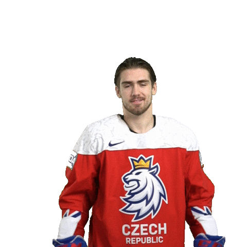 Filip Zadina Celebration Sticker by Národní tým