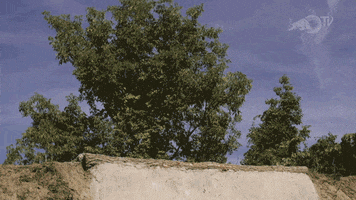 mountain bike hello GIF by Red Bull