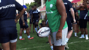 racing 92 GIF