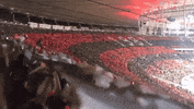 flamengo st nrn stfla nacaocrf GIF