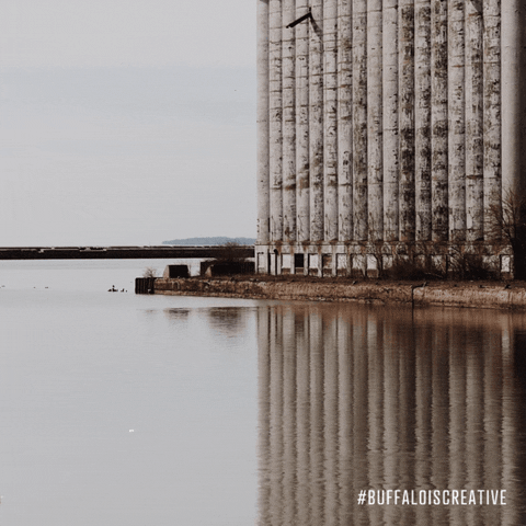 Buffalo Ny Swimming GIF by Wonder Brink