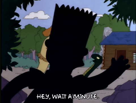 Season 4 Episode 20 GIF by The Simpsons