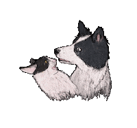 Cat Dog Sticker